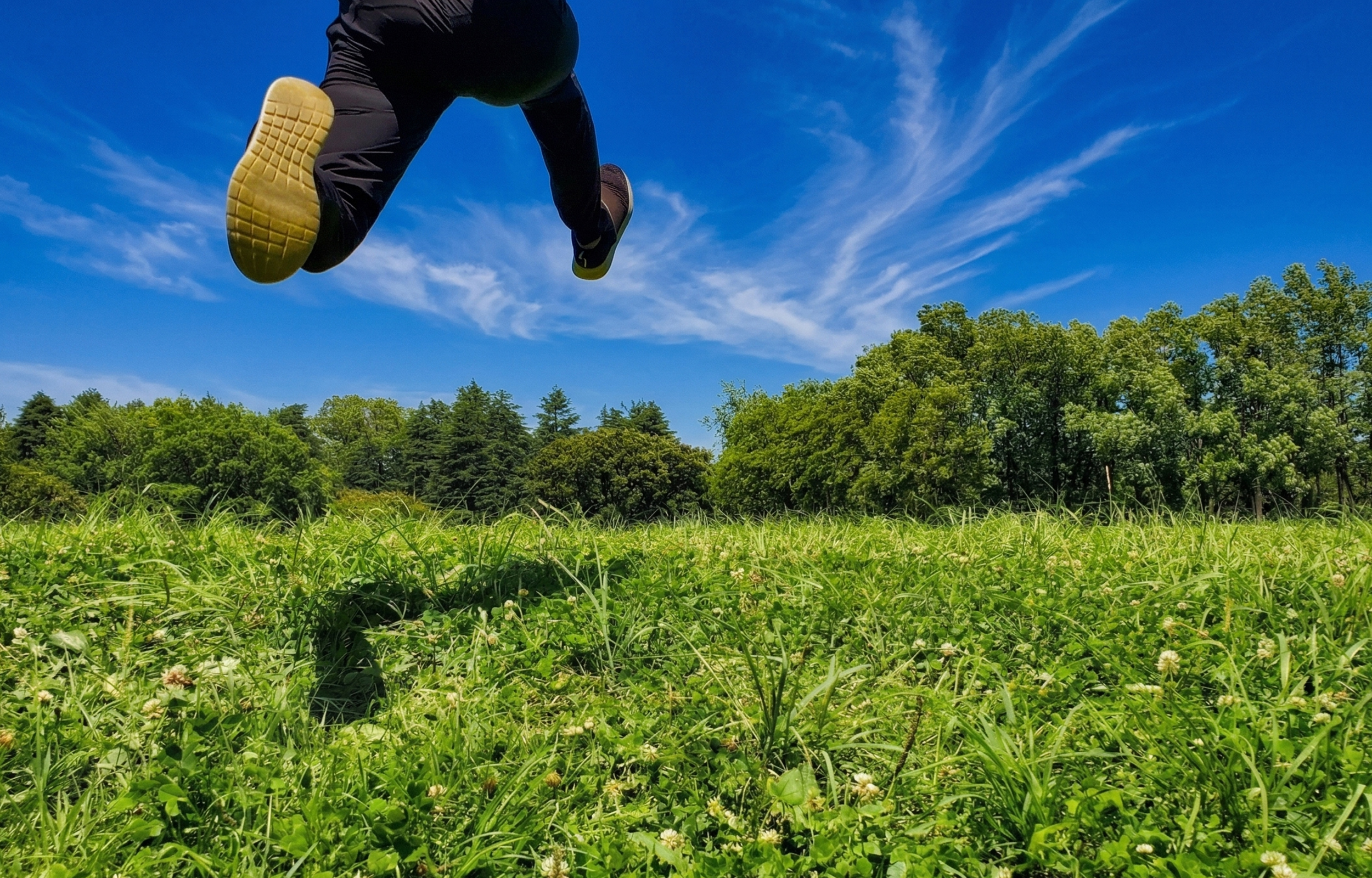 あすふるの活動や地域のスポーツのイメージ